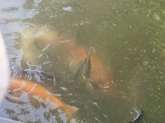 -珠海圆明新园