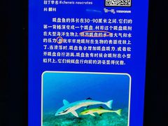 -福州罗源湾海洋世界旅游区