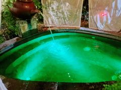 -杭州第一世界大酒店·云曼温泉