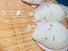 -点都德·毕德寮