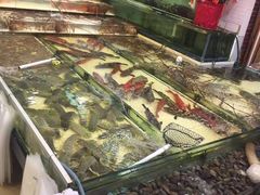 -鲤鱼门海鲜街