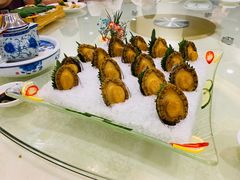 冰镇鲍鱼-鸿记海鲜大酒楼(开发区店)
