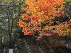 -南山风景名胜区