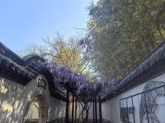 -戚继光故里
