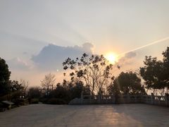 -杭州半山国家森林公园