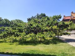 -北陵公园