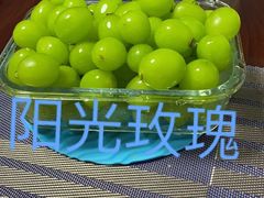 -马陆小张葡萄园农家乐