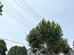-猫的天空之城概念书店(苏州平江店)