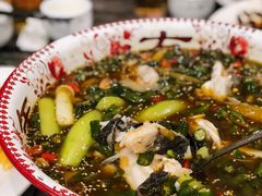 泉水鱼-江湖黑大兔(杨家坪店)