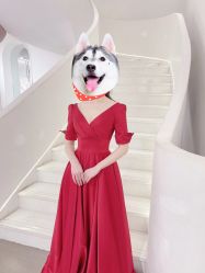 -艾米丽婚纱礼服