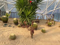 -狼山风景名胜区