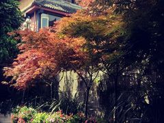 -峨眉山报国寺