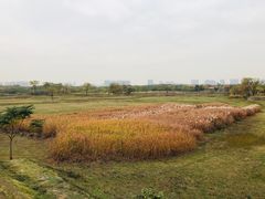 -盘龙城国家考古遗址公园