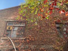 -哈尔滨商业大学(南校区)