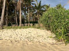 -三亚太阳湾柏悦酒店