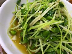 炒豆芽-全乐鱼馆·淳牌有机鱼直营店