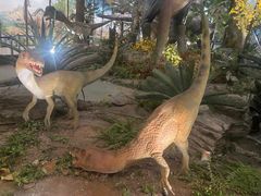 -湖南省地质博物馆