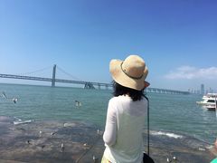 -星海湾跨海大桥