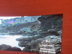 -舒小悦·舒养SPA·古法推拿(光环中心店)