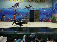 -水濂山乐民游艺园