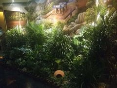 -素可汤泉(天宝大厦店)