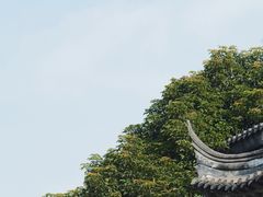 -龙潭水乡