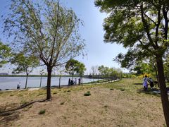 -天津东丽湖风景区