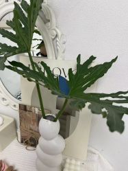 -UN·桃喜日系美睫美甲