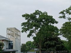 -佘山镇社区卫生服务中心