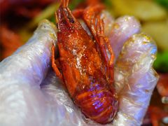 -绅士餐厅龙虾·烧烤(西门路店)