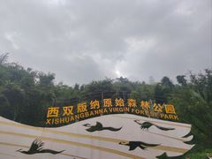 -西双版纳原始森林公园