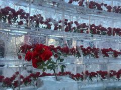 -万达广场(龙湖店)