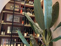 -HUATA 'Holiday Plan 花榻