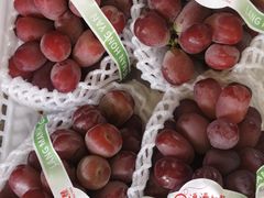 -马陆小张葡萄园农家乐