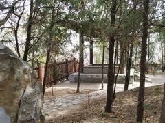 -阳台山自然风景区