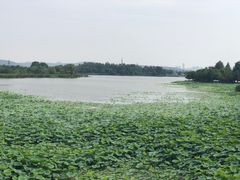 -东湖落雁景区