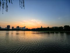 -莲花池公园