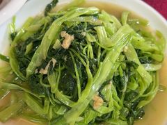 -麻奢鸽农庄·梦里水乡