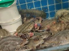 -兴隆海鲜菜馆