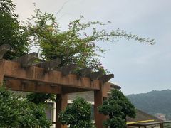-老幺泉水鸡