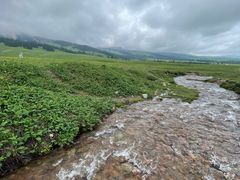-新疆那拉提国家旅游度假区