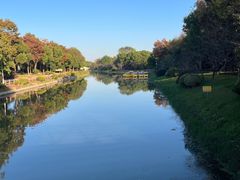 -上海海湾国家森林公园
