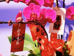 -溪岸路花鸟市场