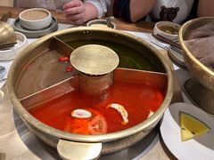 -巴奴毛肚火锅概念餐厅