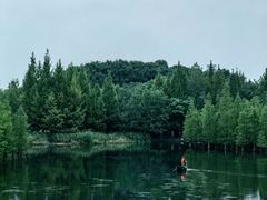 -白鹭湾湿地公园