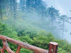 -瓦屋山景区