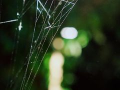 -济南方特东方神画