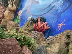 -悦隆庄温泉度假酒店