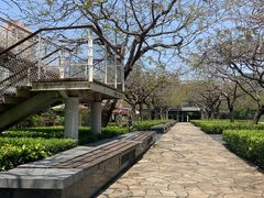 -缘生态云南菜·野生菌庭院餐厅(华侨城店)