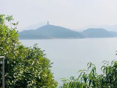 -望湖烤鱼